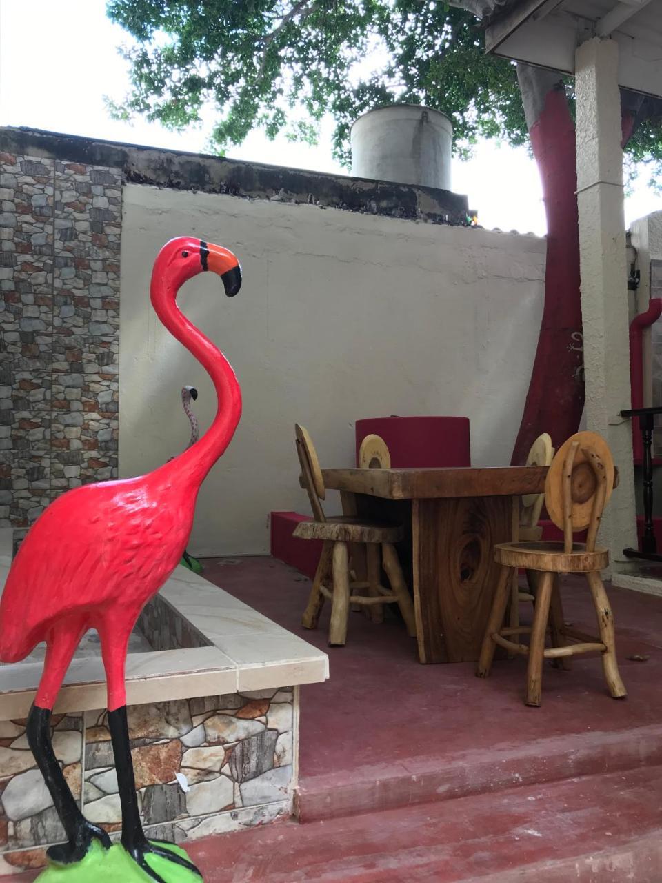 Mi Casa Hostel Riohacha Luaran gambar